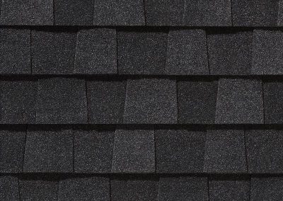 Landmark Charcoal Black Shingle Color