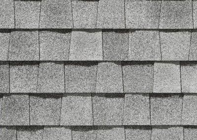 Landmark Silver Birch Shingle Color